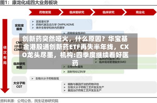 创新药突然哑火，什么原因？华宝基金港股通创新药ETF再失半年线，CXO龙头尽墨，机构:四季度继续看好医药