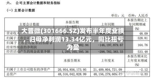 大普微(301666.SZ)发布半年度业绩	，归母净利润13.34亿元，同比扭亏为盈-第3张图片