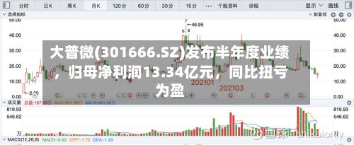 大普微(301666.SZ)发布半年度业绩，归母净利润13.34亿元	，同比扭亏为盈-第2张图片