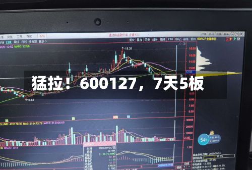 猛拉！600127	，7天5板-第2张图片