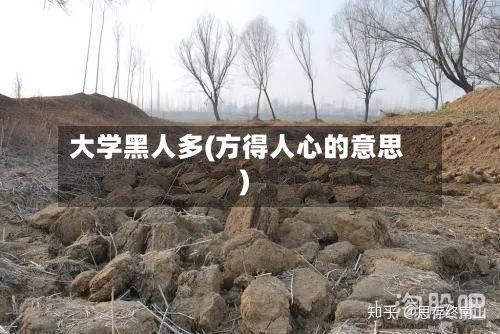 大学黑人多(方得人心的意思)