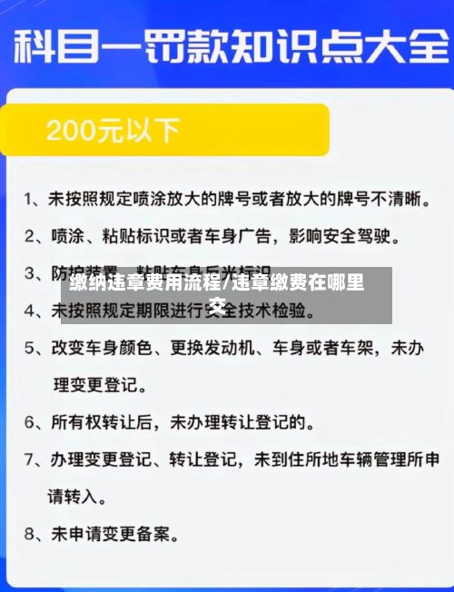 缴纳违章费用流程/违章缴费在哪里交