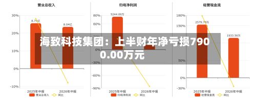 海致科技集团:上半财年净亏损7900.00万元-第2张图片