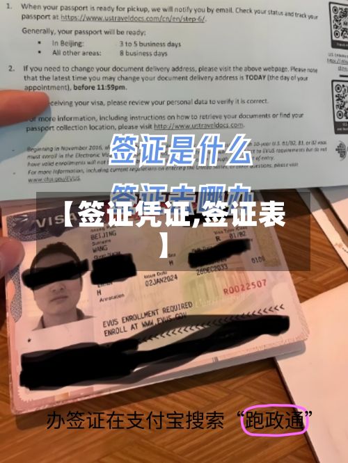 【签证凭证,签证表】-第2张图片