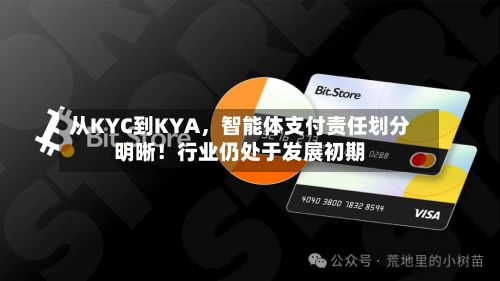 从KYC到KYA	，智能体支付责任划分明晰！行业仍处于发展初期-第2张图片