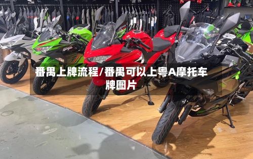 番禺上牌流程/番禺可以上粤A摩托车牌图片