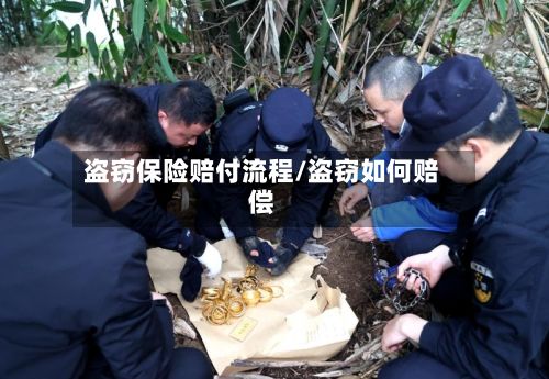 盗窃保险赔付流程/盗窃如何赔偿