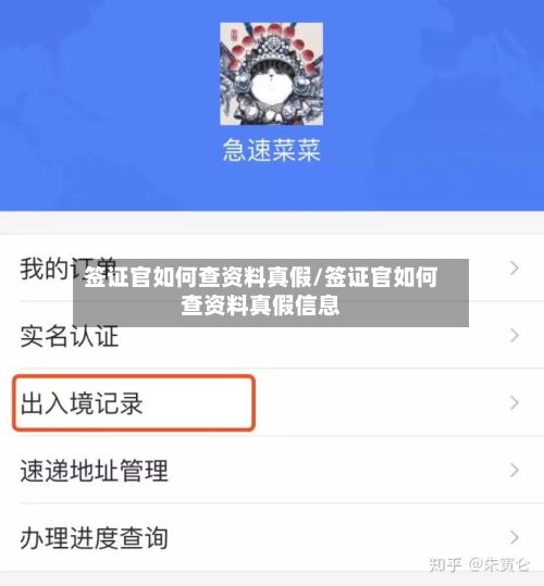 签证官如何查资料真假/签证官如何查资料真假信息-第3张图片