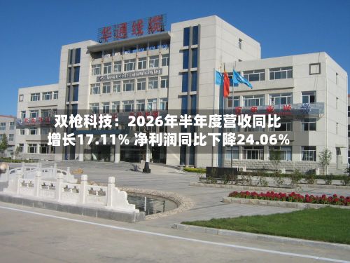 双枪科技:2026年半年度营收同比增长17.11% 净利润同比下降24.06%-第2张图片