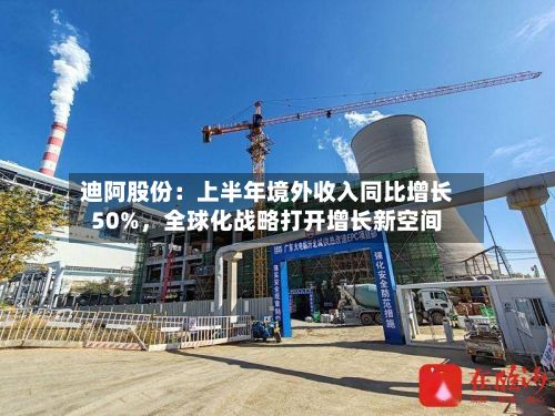 迪阿股份：上半年境外收入同比增长50%，全球化战略打开增长新空间-第3张图片
