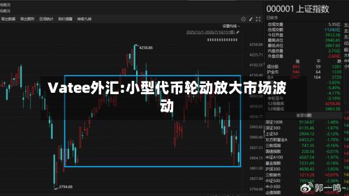 Vatee外汇:小型代币轮动放大市场波动-第3张图片