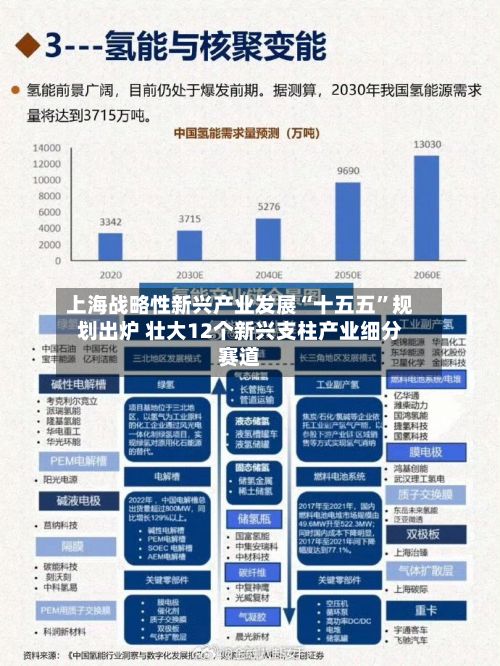 上海战略性新兴产业发展“十五五	”规划出炉 壮大12个新兴支柱产业细分赛道-第2张图片