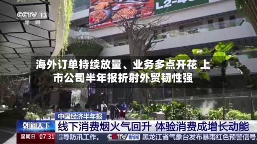 海外订单持续放量、业务多点开花 上市公司半年报折射外贸韧性强-第3张图片