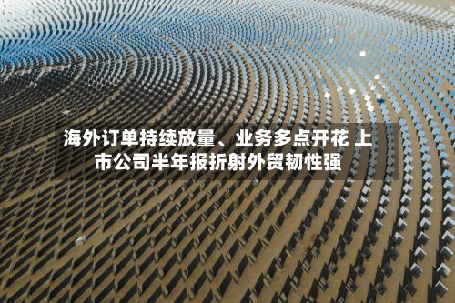 海外订单持续放量、业务多点开花 上市公司半年报折射外贸韧性强-第2张图片