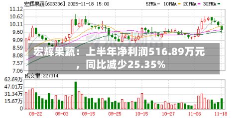 宏辉果蔬：上半年净利润516.89万元，同比减少25.35%-第2张图片