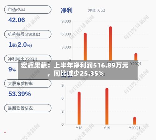 宏辉果蔬：上半年净利润516.89万元	，同比减少25.35%-第3张图片