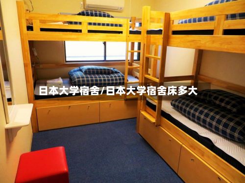 日本大学宿舍/日本大学宿舍床多大