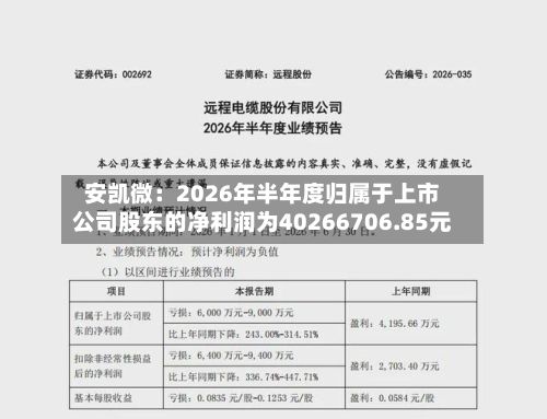 安凯微:2026年半年度归属于上市公司股东的净利润为40266706.85元
