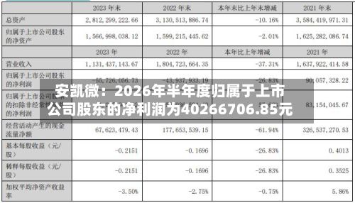 安凯微:2026年半年度归属于上市公司股东的净利润为40266706.85元-第3张图片