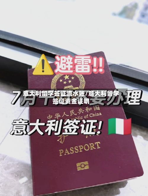 意大利留学签证流水账/意大利留学签证资金证明
