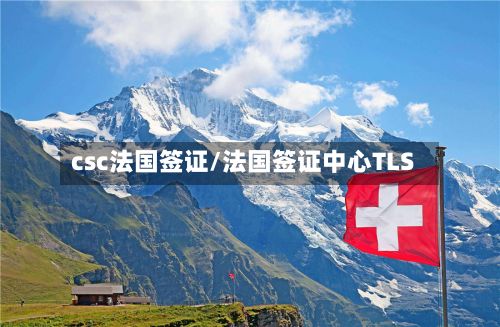csc法国签证/法国签证中心TLS-第2张图片