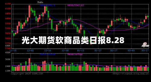 光大期货软商品类日报8.28-第1张图片