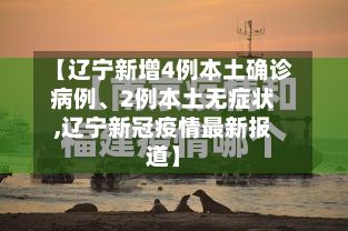 【辽宁新增4例本土确诊病例、2例本土无症状,辽宁新冠疫情最新报道】-第3张图片
