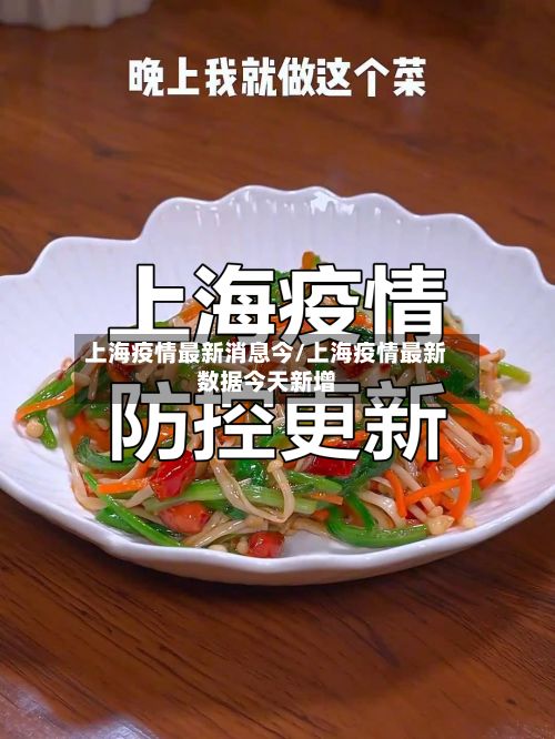上海疫情最新消息今/上海疫情最新数据今天新增-第2张图片