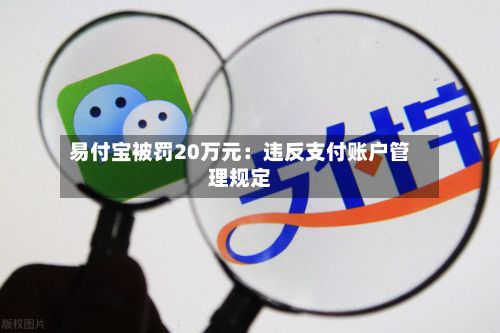 易付宝被罚20万元：违反支付账户管理规定-第2张图片
