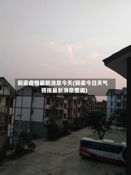 铜梁疫情最新消息今天(铜梁今日天气预报最新消息查询)-第3张图片
