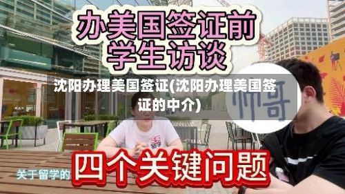 沈阳办理美国签证(沈阳办理美国签证的中介)-第2张图片