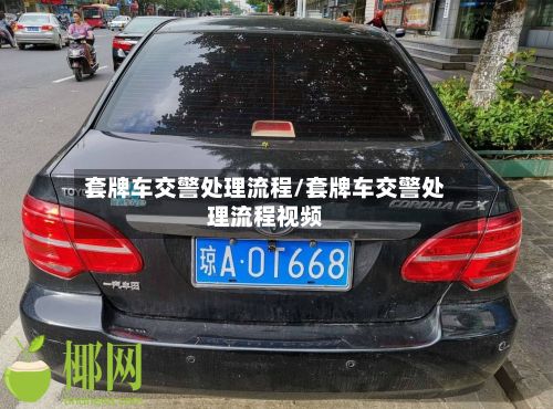 套牌车交警处理流程/套牌车交警处理流程视频-第2张图片