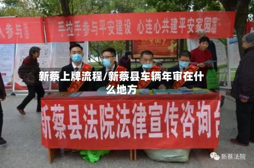 新蔡上牌流程/新蔡县车辆年审在什么地方