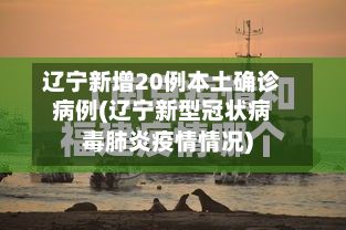 辽宁新增20例本土确诊病例(辽宁新型冠状病毒肺炎疫情情况)
