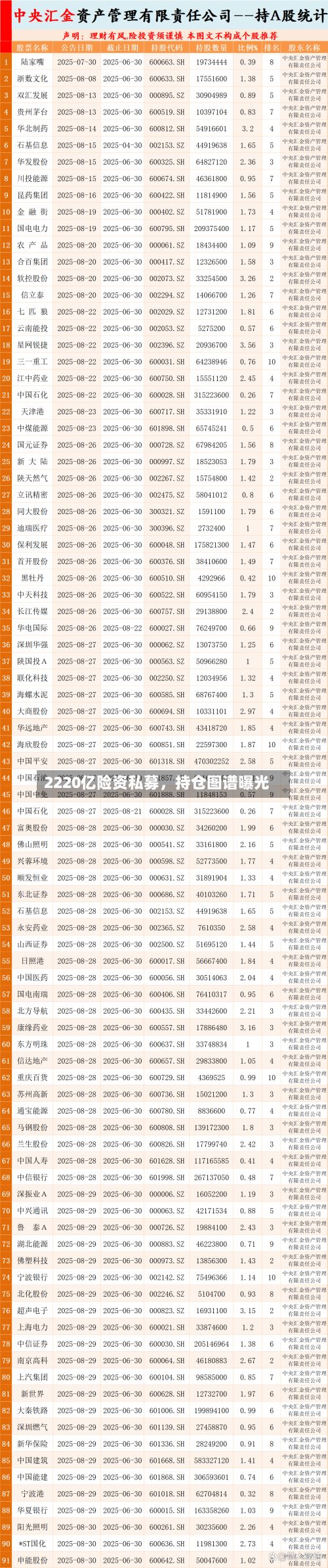2220亿险资私募，持仓图谱曝光-第2张图片
