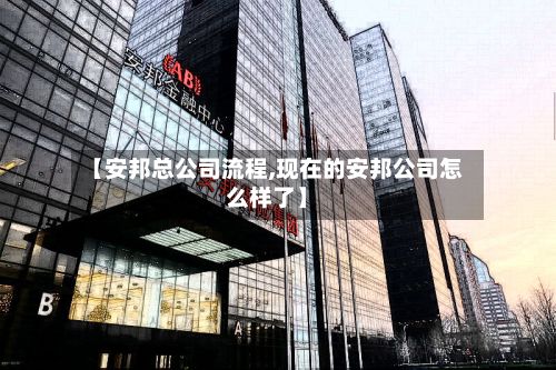 【安邦总公司流程,现在的安邦公司怎么样了】
