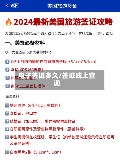 电子签证多久/签证线上查询