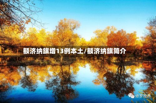额济纳旗增13例本土/额济纳旗简介