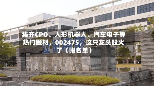集齐CPO、人形机器人、汽车电子等热门题材	，002475，这只龙头股火了（附名单）-第2张图片