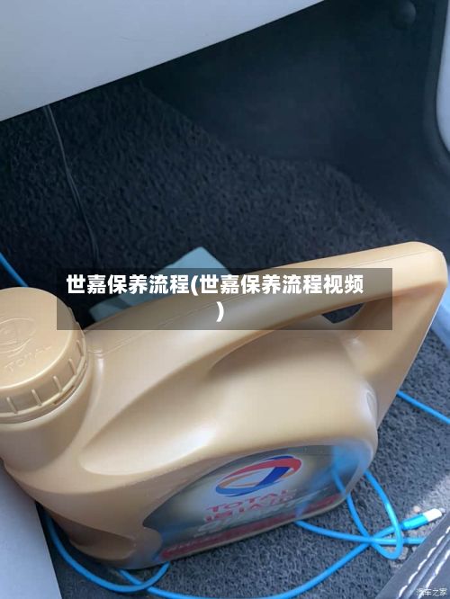 世嘉保养流程(世嘉保养流程视频)
