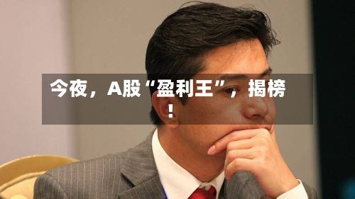今夜，A股“盈利王”，揭榜！-第2张图片