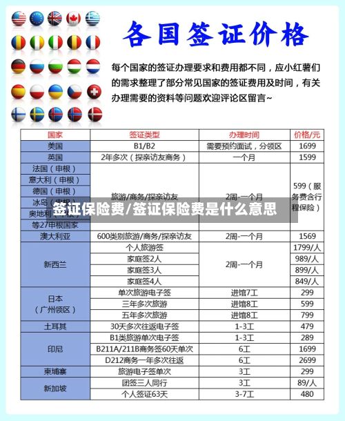 签证保险费/签证保险费是什么意思-第3张图片