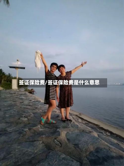 签证保险费/签证保险费是什么意思-第2张图片