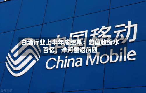白酒行业上半年成绩单:总营收缩水百亿,洋河重返前四