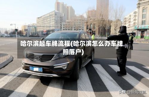 哈尔滨起车牌流程(哈尔滨怎么办车牌照落户)-第2张图片