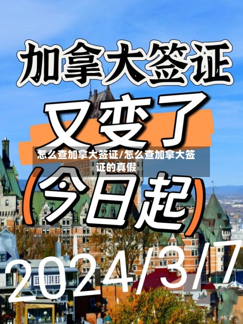 怎么查加拿大签证/怎么查加拿大签证的真假