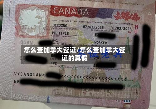 怎么查加拿大签证/怎么查加拿大签证的真假-第3张图片