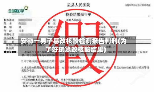 安徽一男子篡改核酸检测报告判刑(为了好玩篡改核酸结果)-第2张图片
