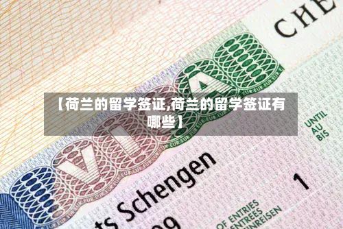 【荷兰的留学签证,荷兰的留学签证有哪些】-第3张图片