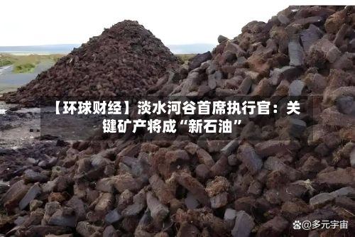 【环球财经】淡水河谷首席执行官：关键矿产将成“新石油”